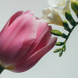 Floral Muse Hand Wash & Body Lotion Set