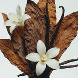 Forest Noir Hand Wash & Body Lotion Set