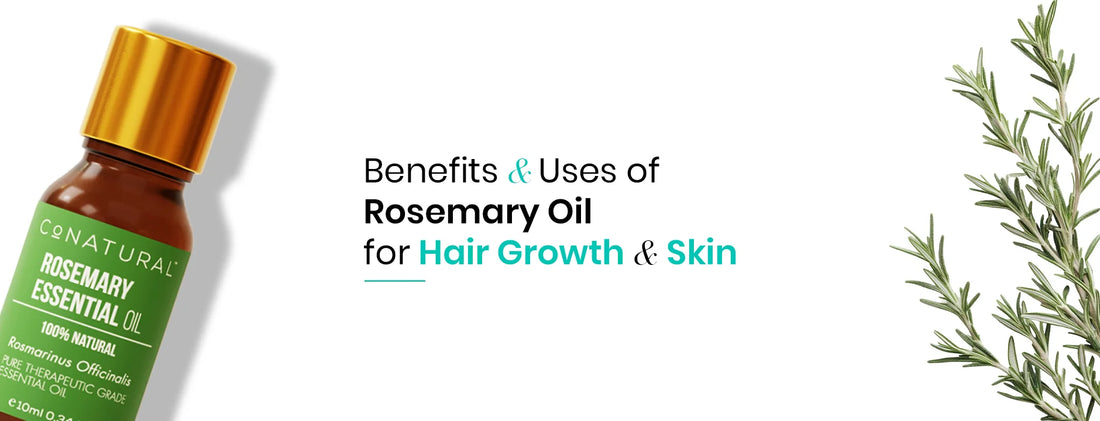 Benefits and Uses of Rosemary Oil for Hair Growth & Skin