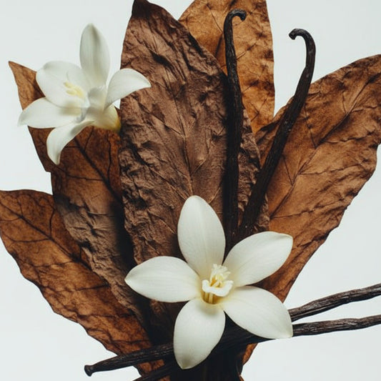 Forest Noir Hand Wash & Body Lotion Set